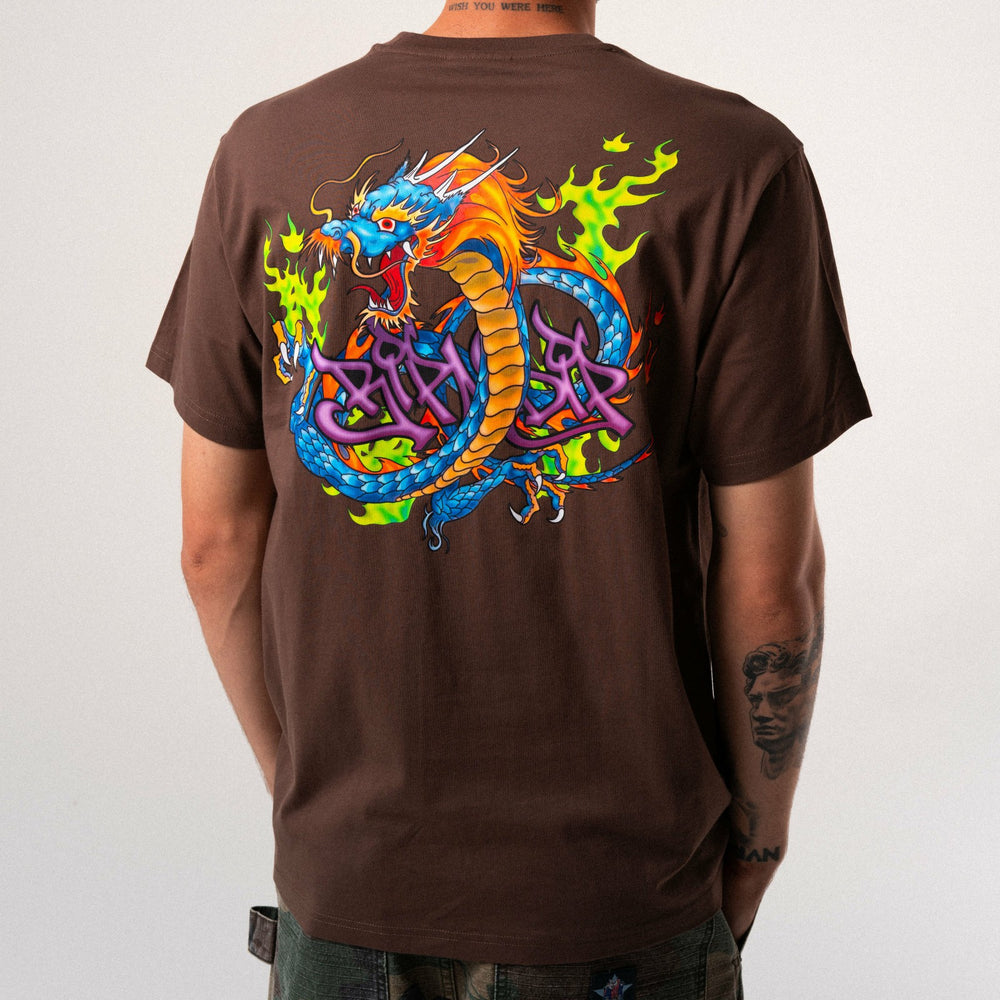 Ripndip Sale | Dragonology Tee (Dark Brown)