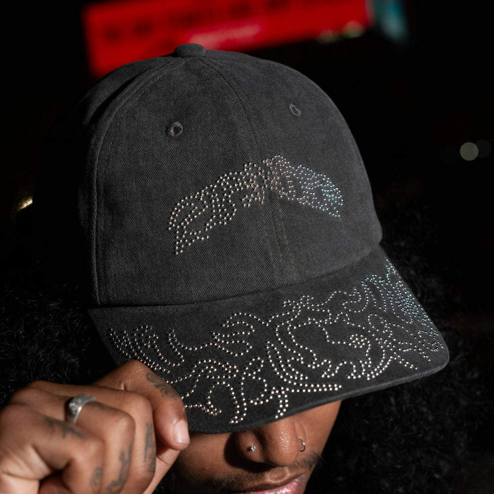 Ripndip New | Pretty Flacko Distressed Dad Hat (Black Vintage Wash)