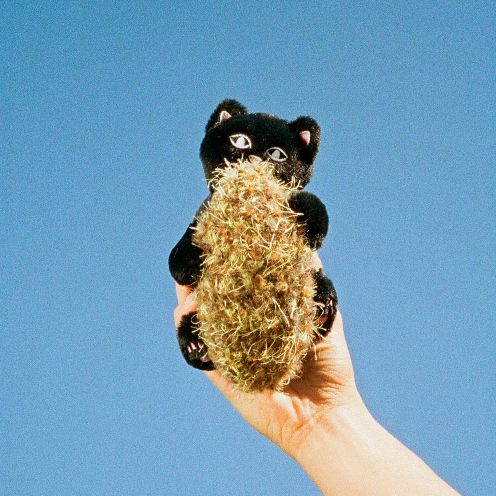 Ripndip Outlets | Nerm Nugs Mystery Bag (Assorted)