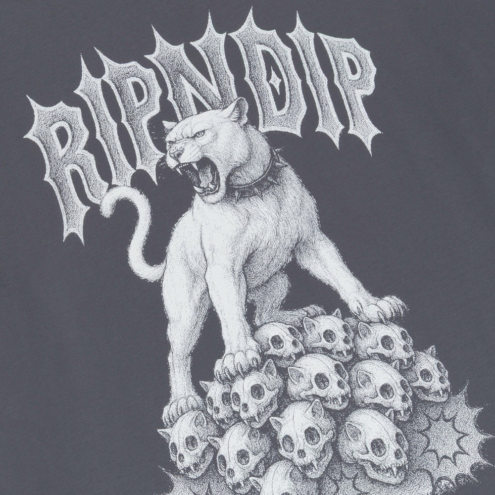 Ripndip Online Shop | Wasteland Tee (Charcoal)