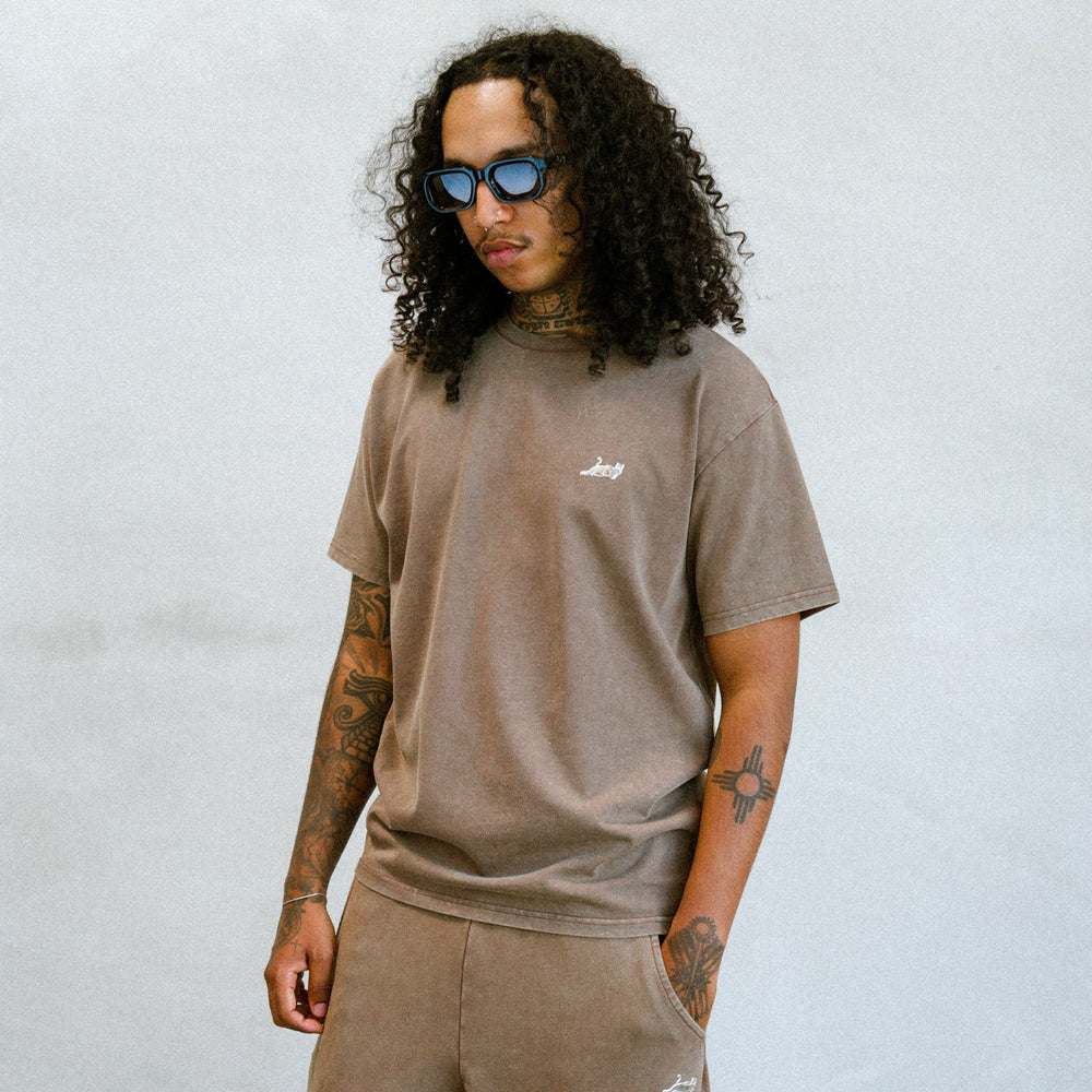 Ripndip For Sale | Castanza Short Sleeve Tee (Brown Vintage Wash)