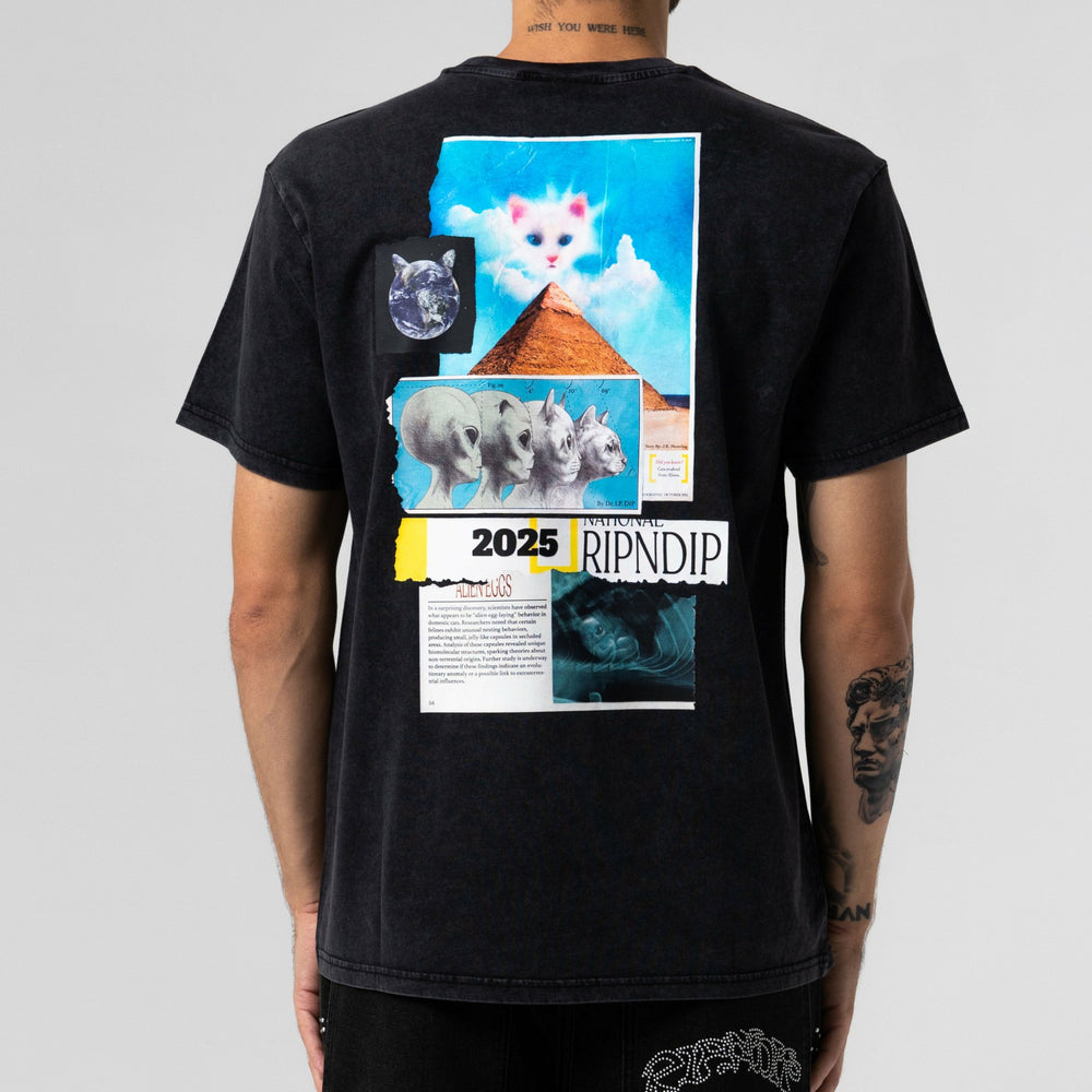 Ripndip Online Shop | Nerm Geo Tee (Black Vintage Wash)