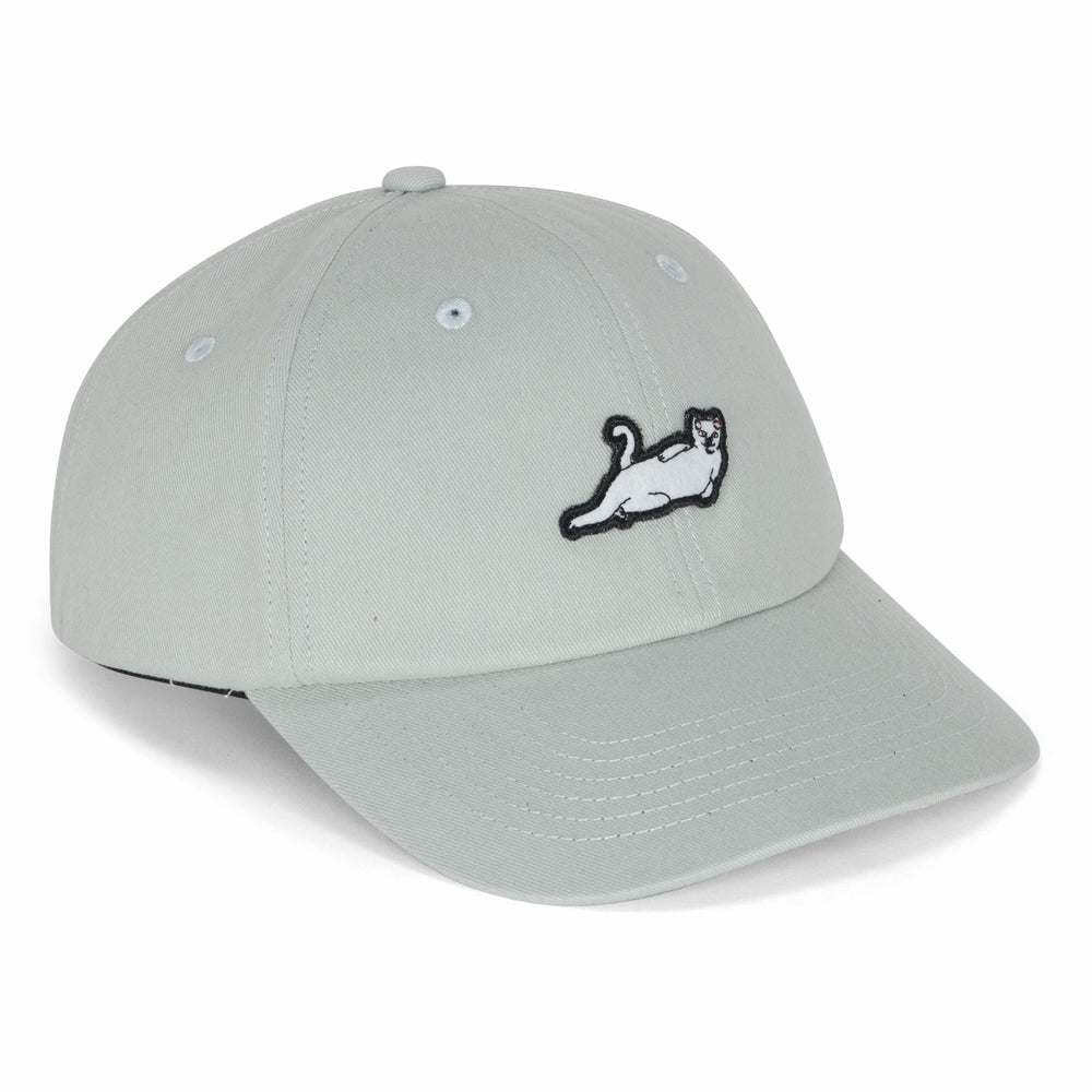 Ripndip Online | Catstanza Dad Hat (Sage Grey)