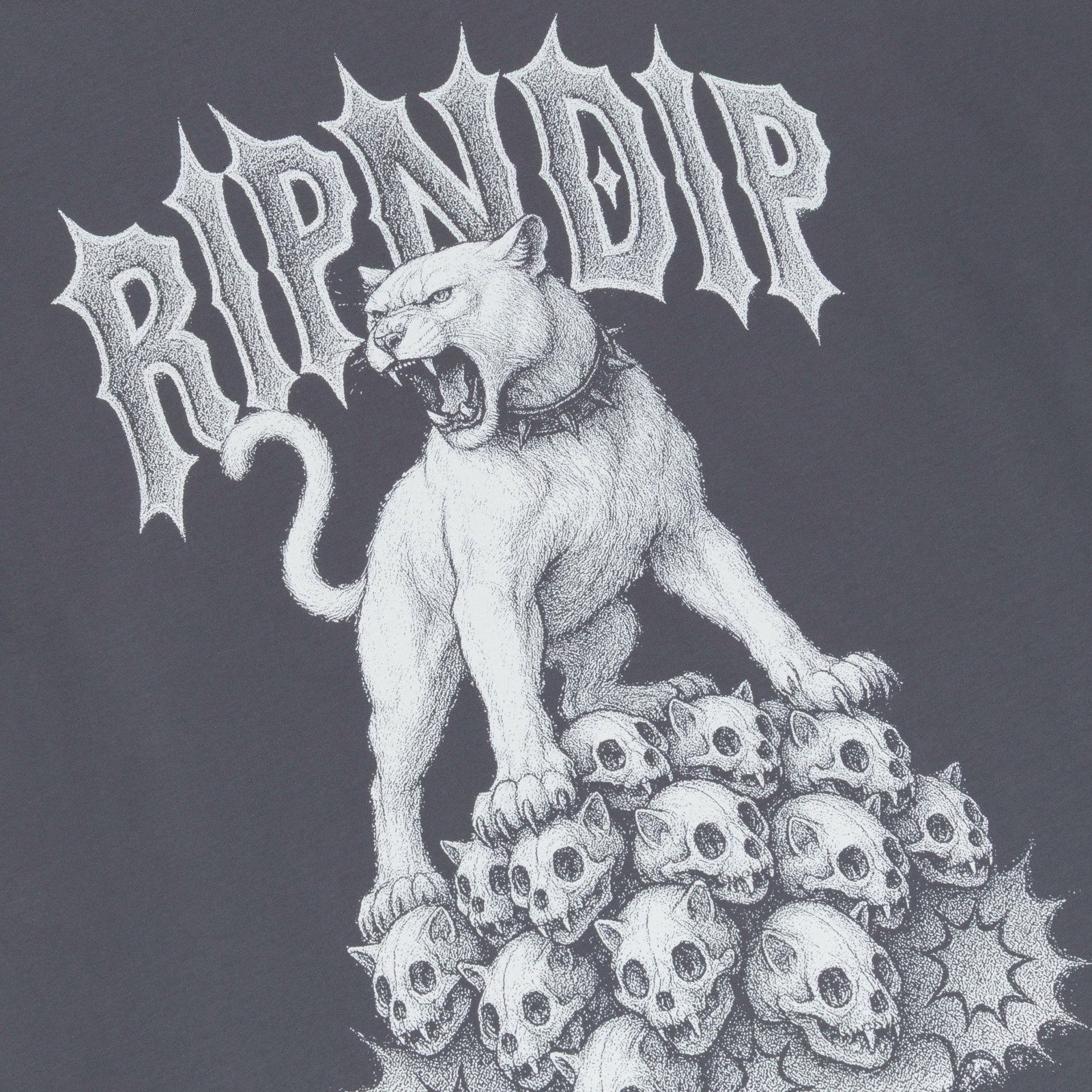 Ripndip Online Shop | Wasteland Tee (Charcoal)