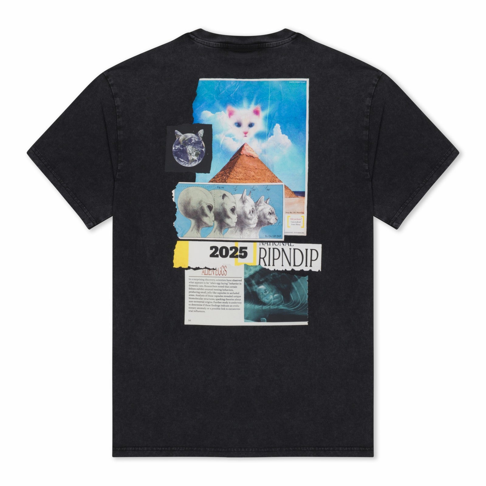 Ripndip Online Shop | Nerm Geo Tee (Black Vintage Wash)