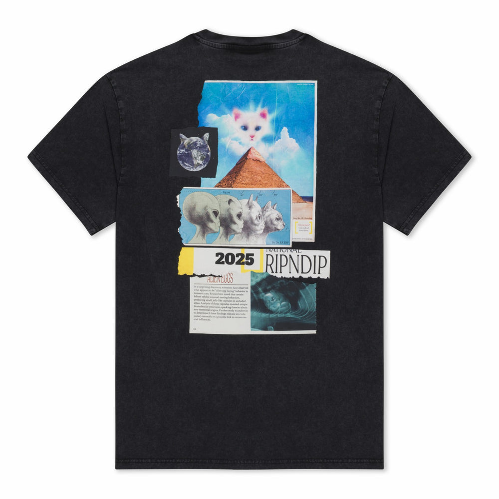 Ripndip Online Shop | Nerm Geo Tee (Black Vintage Wash)